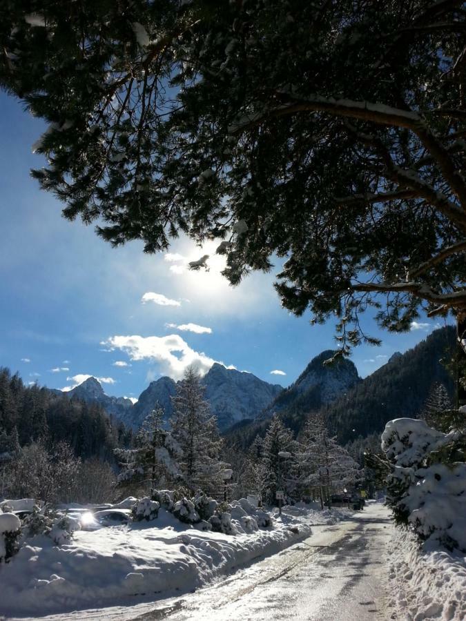 Apartmaji Gros Kranjska Gora Buitenkant foto